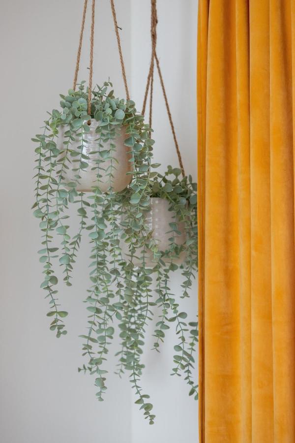 Studio With Ac Czarnowiejska By Renters Apartament Kraków